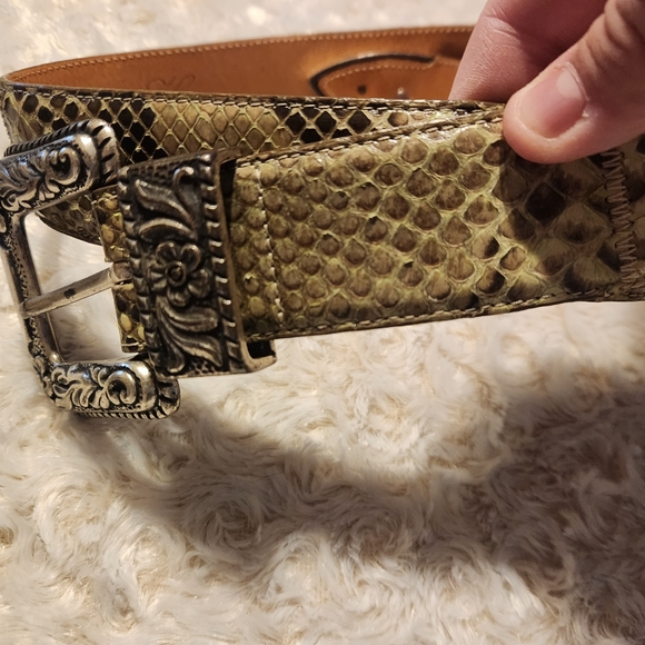 Python Belt Genuine Made In Italy Reptiles House Brass - Picture 1 of 10